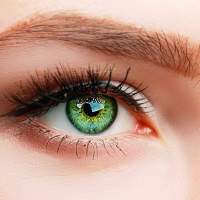 ELFENWALD farbige Kontaktlinsen, Produktreihe "SUPREME" (grün)-neu