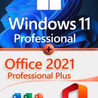 Windows 10 Windows 11 Pro Home Lifetime Lizenz | Microsoft Office